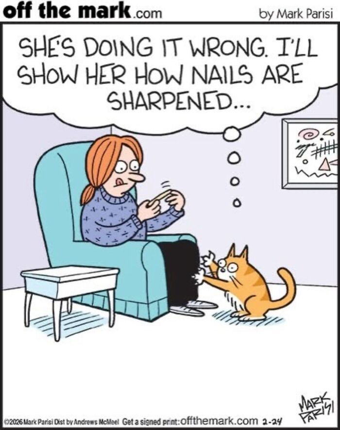 This Artist Perfectly Captures What It’s Really Like To Live With Cats In These New Comics (Part 3)