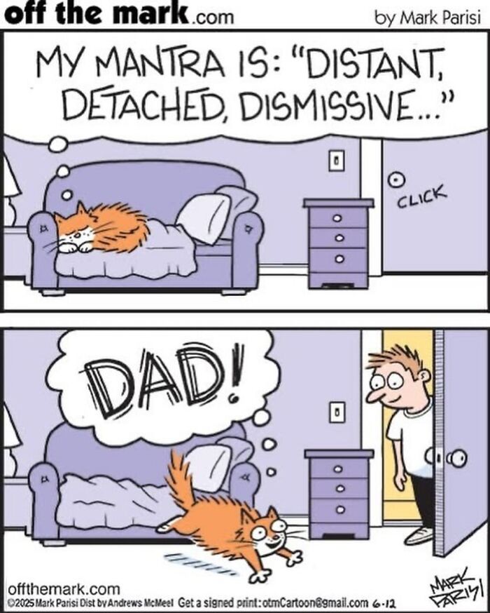 This Artist Perfectly Captures What It’s Really Like To Live With Cats In These New Comics (Part 3)