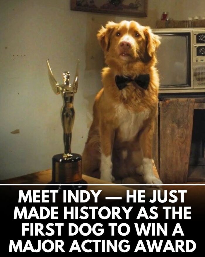 This Instagram Page Shares Incredible Dog Stories That Prove Dogs Truly Make The World A Better Place (50 Pics)