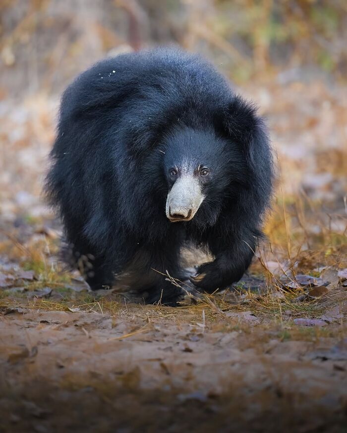 Stunning Wildlife Photography By Alexandra That Brings Us Closer To Nature (40 Pics)-Interview