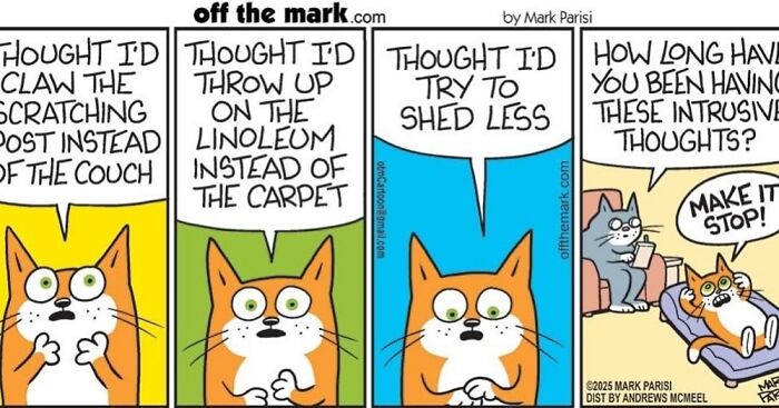 This Artist Perfectly Captures What It’s Really Like To Live With Cats In These New Comics (Part 3)