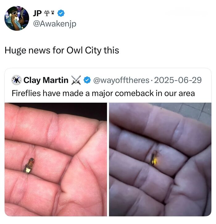 50 Animal Memes So Perfectly Timed They Feel Scripted (But They’re Not)