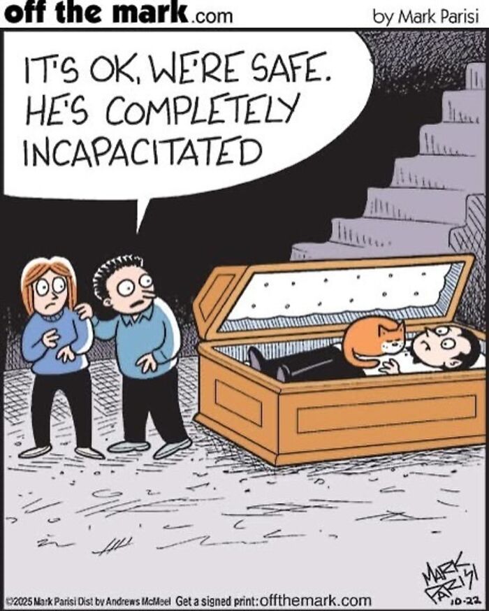 This Artist Perfectly Captures What It’s Really Like To Live With Cats In These New Comics (Part 3)