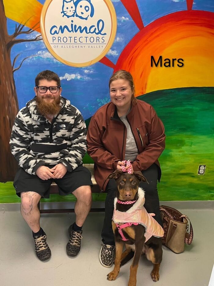 Inspired By AI, This Shelter Created An Event Where Dogs Choose Their Humans—and People Can’t Get Enough (42 Pics + 1 Video)