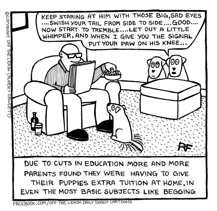 If You’re A Dog Owner, These 38 New “Off The Leash” Cartoons Might Totally Hit Home