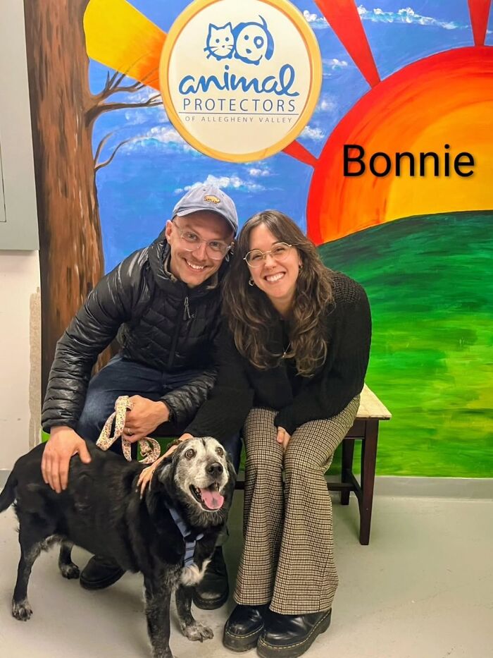 Inspired By AI, This Shelter Created An Event Where Dogs Choose Their Humans—and People Can’t Get Enough (42 Pics + 1 Video)