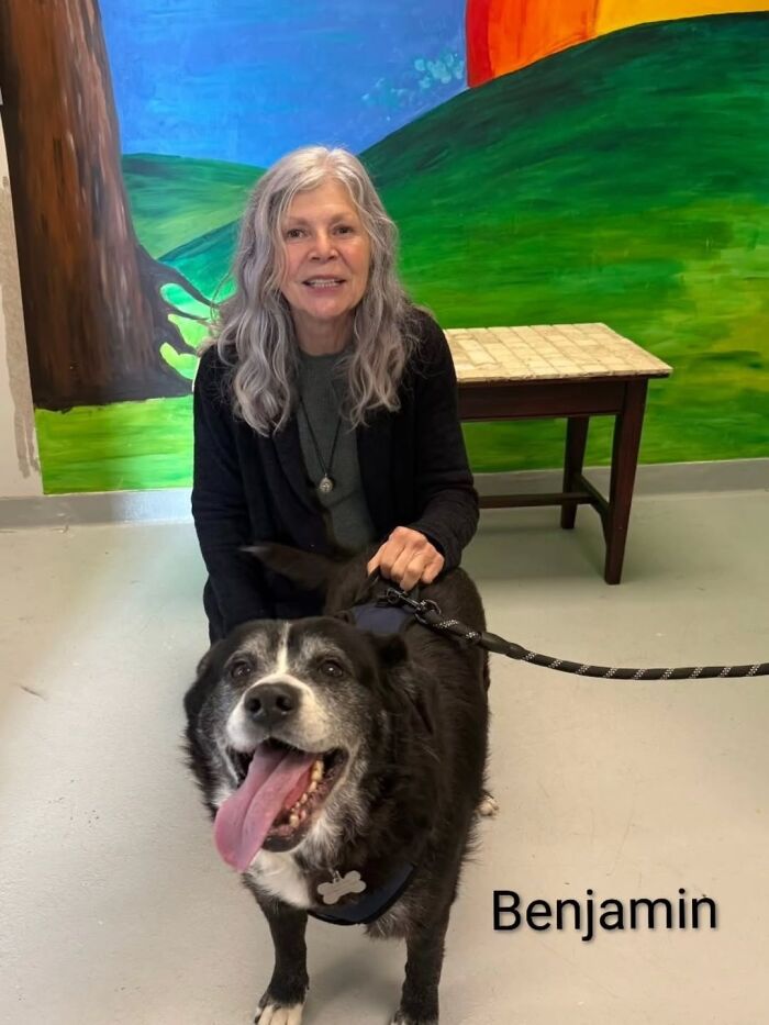 Inspired By AI, This Shelter Created An Event Where Dogs Choose Their Humans—and People Can’t Get Enough (42 Pics + 1 Video)