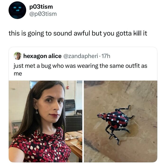 50 Animal Memes So Perfectly Timed They Feel Scripted (But They’re Not)