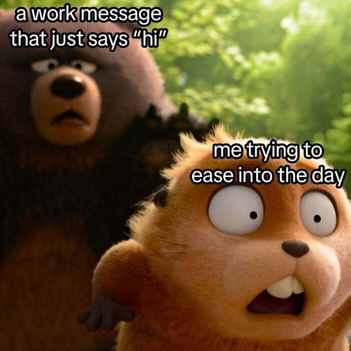 50 Animal Memes So Perfectly Timed They Feel Scripted (But They’re Not)