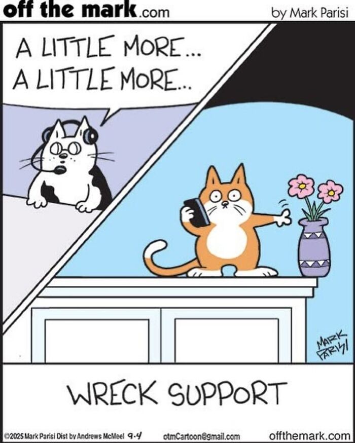 This Artist Perfectly Captures What It’s Really Like To Live With Cats In These New Comics (Part 3)