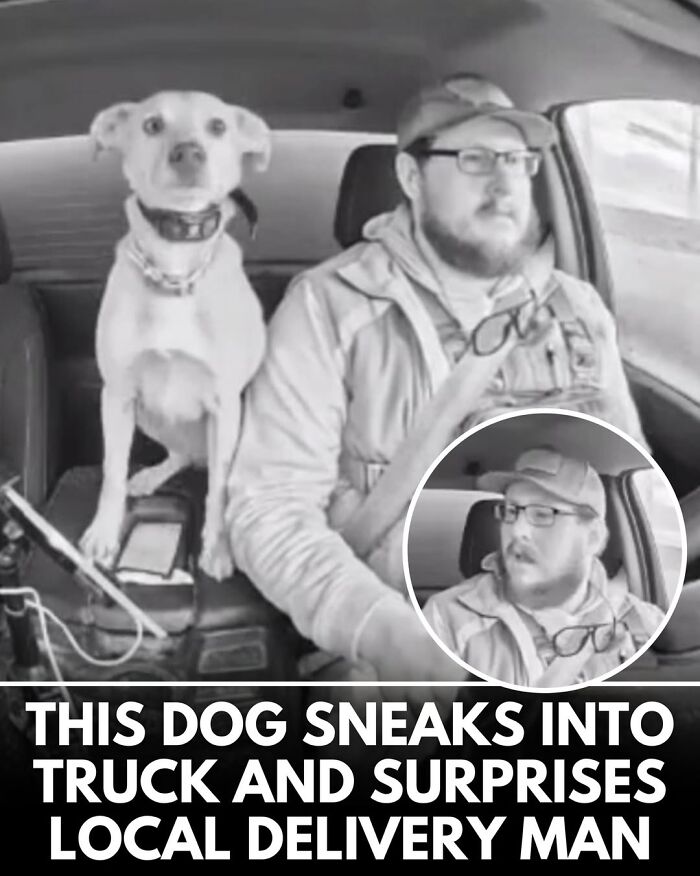 This Instagram Page Shares Incredible Dog Stories That Prove Dogs Truly Make The World A Better Place (50 Pics)