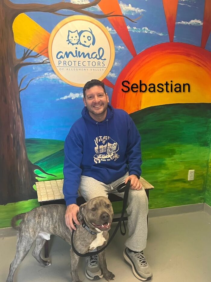 Inspired By AI, This Shelter Created An Event Where Dogs Choose Their Humans—and People Can’t Get Enough (42 Pics + 1 Video)