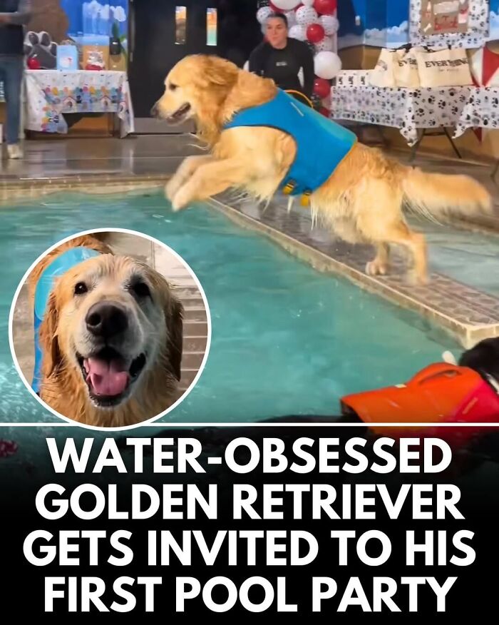 This Instagram Page Shares Incredible Dog Stories That Prove Dogs Truly Make The World A Better Place (50 Pics)