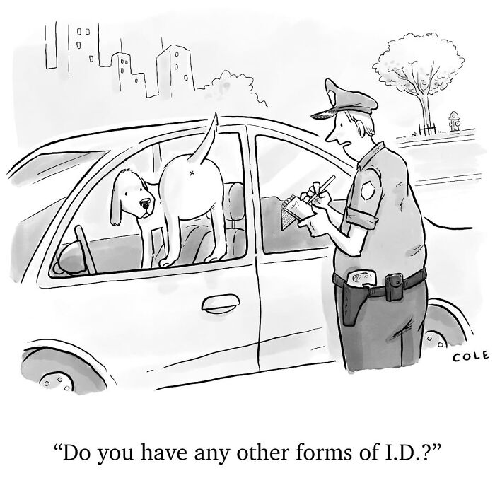 This Artist Shares Brilliant Single-Panel Cartoons That Turn Everyday Moments Into Clever Jokes (50 Pics)