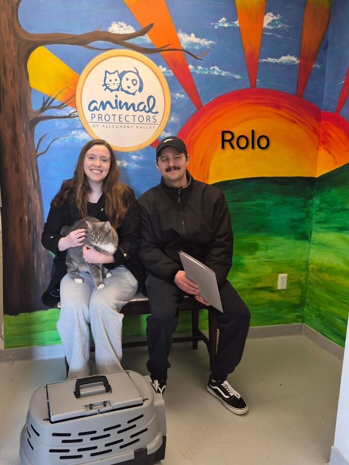 Inspired By AI, This Shelter Created An Event Where Dogs Choose Their Humans—and People Can’t Get Enough (42 Pics + 1 Video)