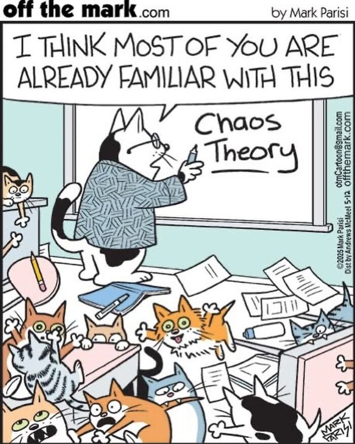 This Artist Perfectly Captures What It’s Really Like To Live With Cats In These New Comics (Part 3)