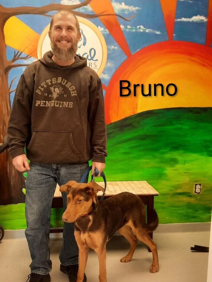 Inspired By AI, This Shelter Created An Event Where Dogs Choose Their Humans—and People Can’t Get Enough (42 Pics + 1 Video)