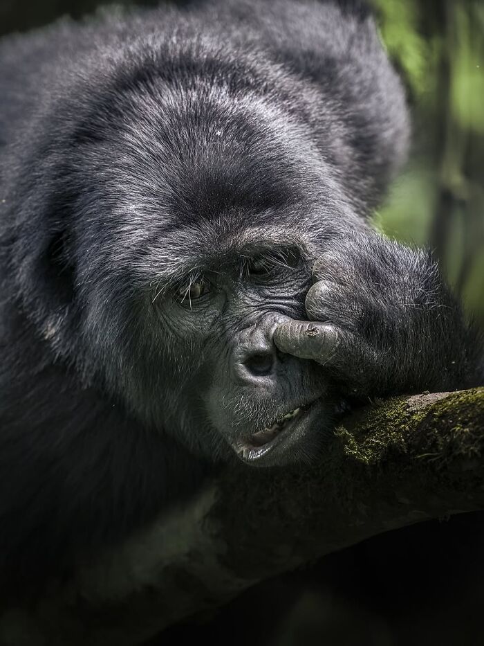 Stunning Wildlife Photography By Alexandra That Brings Us Closer To Nature (40 Pics)-Interview