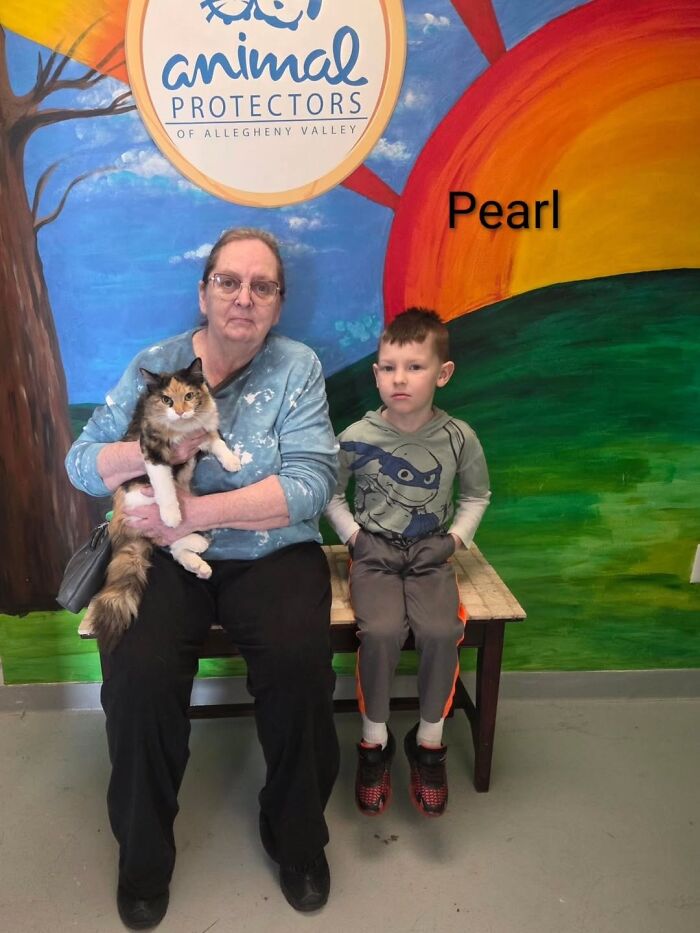 Inspired By AI, This Shelter Created An Event Where Dogs Choose Their Humans—and People Can’t Get Enough (42 Pics + 1 Video)