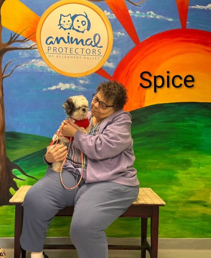 Inspired By AI, This Shelter Created An Event Where Dogs Choose Their Humans—and People Can’t Get Enough (42 Pics + 1 Video)