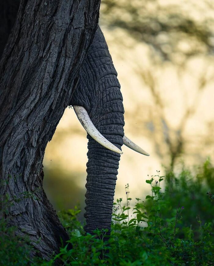 Stunning Wildlife Photography By Alexandra That Brings Us Closer To Nature (40 Pics)-Interview