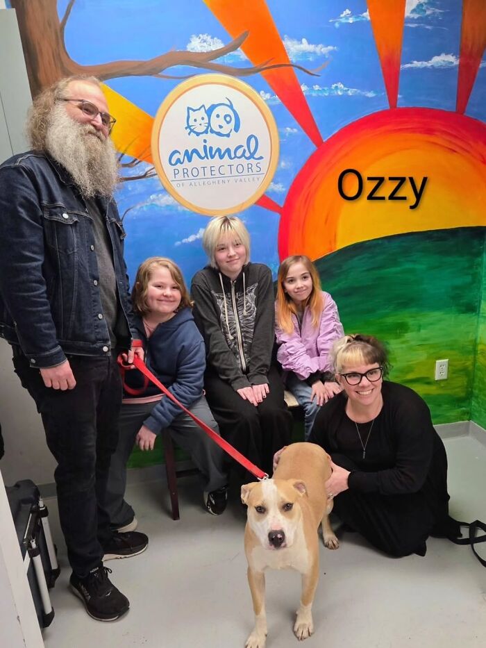 Inspired By AI, This Shelter Created An Event Where Dogs Choose Their Humans—and People Can’t Get Enough (42 Pics + 1 Video)