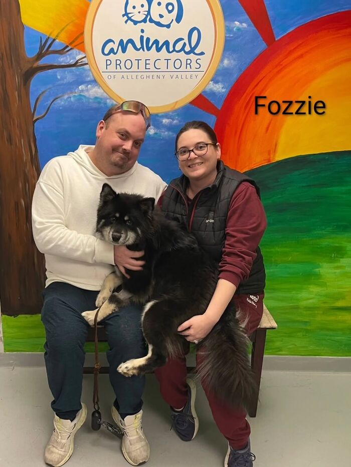 Inspired By AI, This Shelter Created An Event Where Dogs Choose Their Humans—and People Can’t Get Enough (42 Pics + 1 Video)