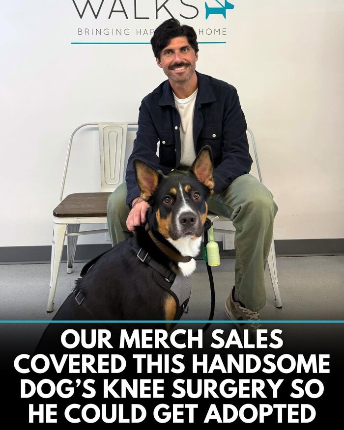 This Instagram Page Shares Incredible Dog Stories That Prove Dogs Truly Make The World A Better Place (50 Pics)