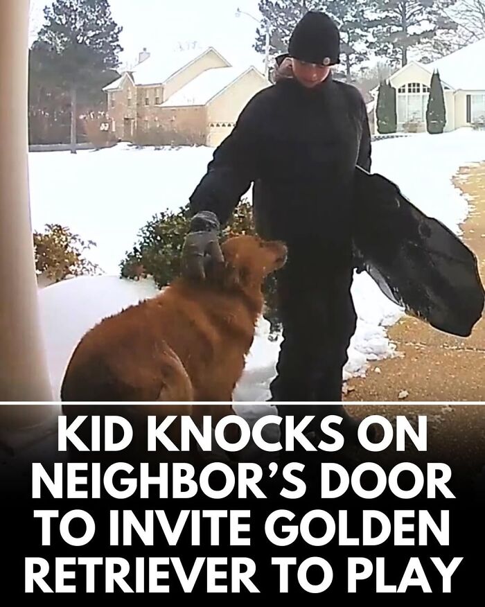 This Instagram Page Shares Incredible Dog Stories That Prove Dogs Truly Make The World A Better Place (50 Pics)