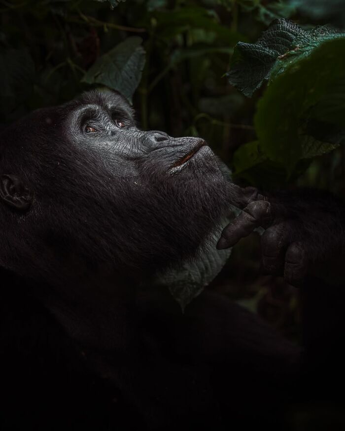 Stunning Wildlife Photography By Alexandra That Brings Us Closer To Nature (40 Pics)-Interview