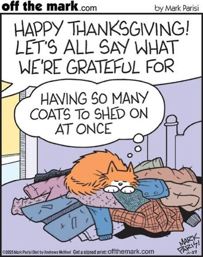 This Artist Perfectly Captures What It’s Really Like To Live With Cats In These New Comics (Part 3)