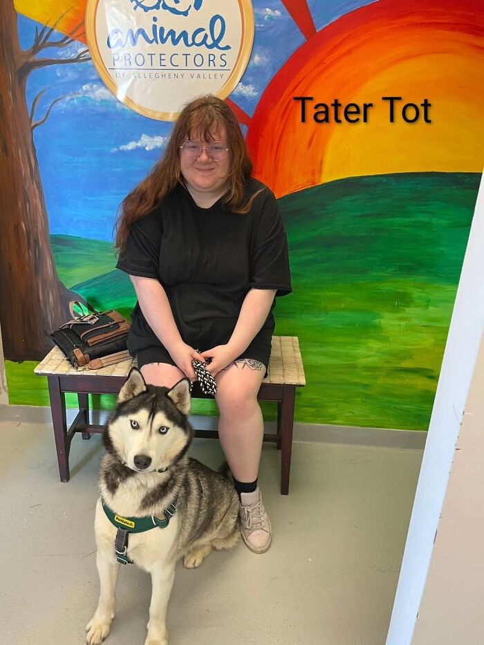 Inspired By AI, This Shelter Created An Event Where Dogs Choose Their Humans—and People Can’t Get Enough (42 Pics + 1 Video)