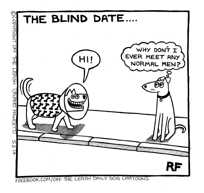 If You’re A Dog Owner, These 38 New “Off The Leash” Cartoons Might Totally Hit Home