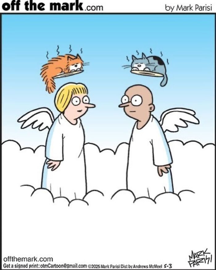 This Artist Perfectly Captures What It’s Really Like To Live With Cats In These New Comics (Part 3)