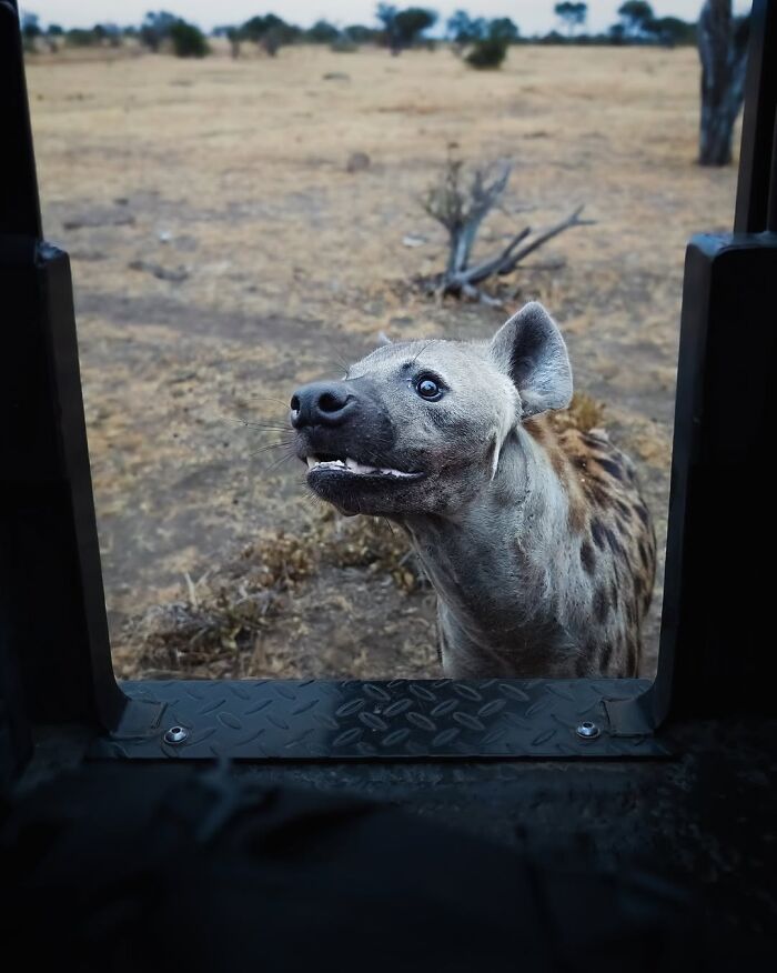 Stunning Wildlife Photography By Alexandra That Brings Us Closer To Nature (40 Pics)-Interview