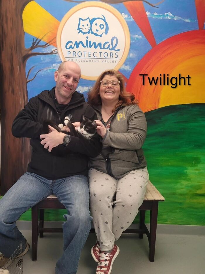 Inspired By AI, This Shelter Created An Event Where Dogs Choose Their Humans—and People Can’t Get Enough (42 Pics + 1 Video)