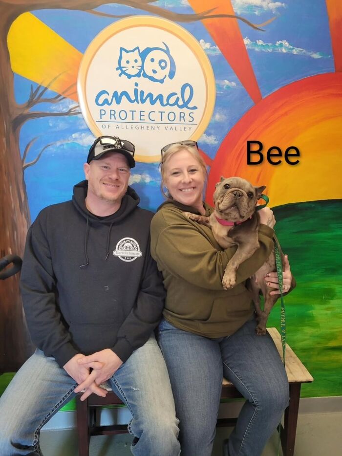 Inspired By AI, This Shelter Created An Event Where Dogs Choose Their Humans—and People Can’t Get Enough (42 Pics + 1 Video)