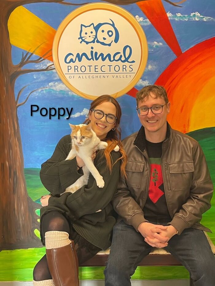 Inspired By AI, This Shelter Created An Event Where Dogs Choose Their Humans—and People Can’t Get Enough (42 Pics + 1 Video)