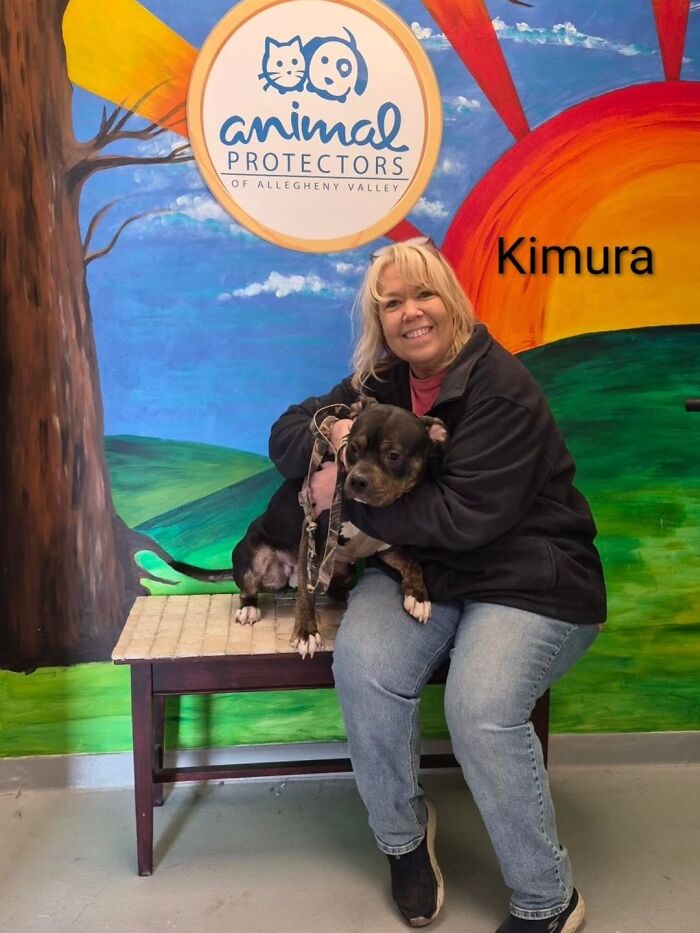 Inspired By AI, This Shelter Created An Event Where Dogs Choose Their Humans—and People Can’t Get Enough (42 Pics + 1 Video)