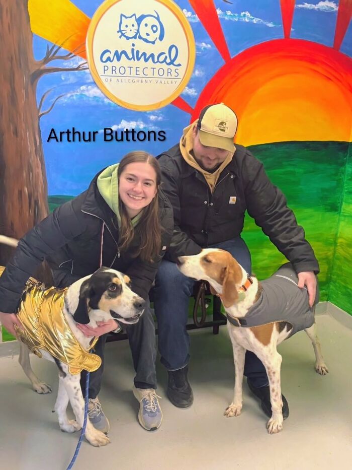 Inspired By AI, This Shelter Created An Event Where Dogs Choose Their Humans—and People Can’t Get Enough (42 Pics + 1 Video)