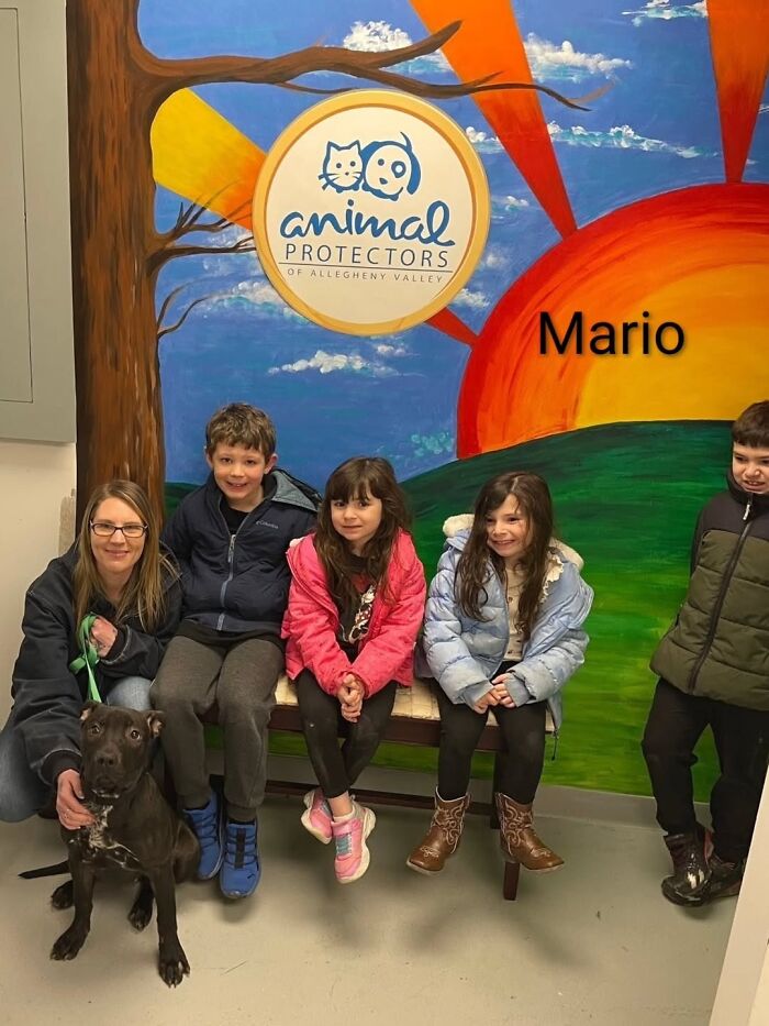 Inspired By AI, This Shelter Created An Event Where Dogs Choose Their Humans—and People Can’t Get Enough (42 Pics + 1 Video)