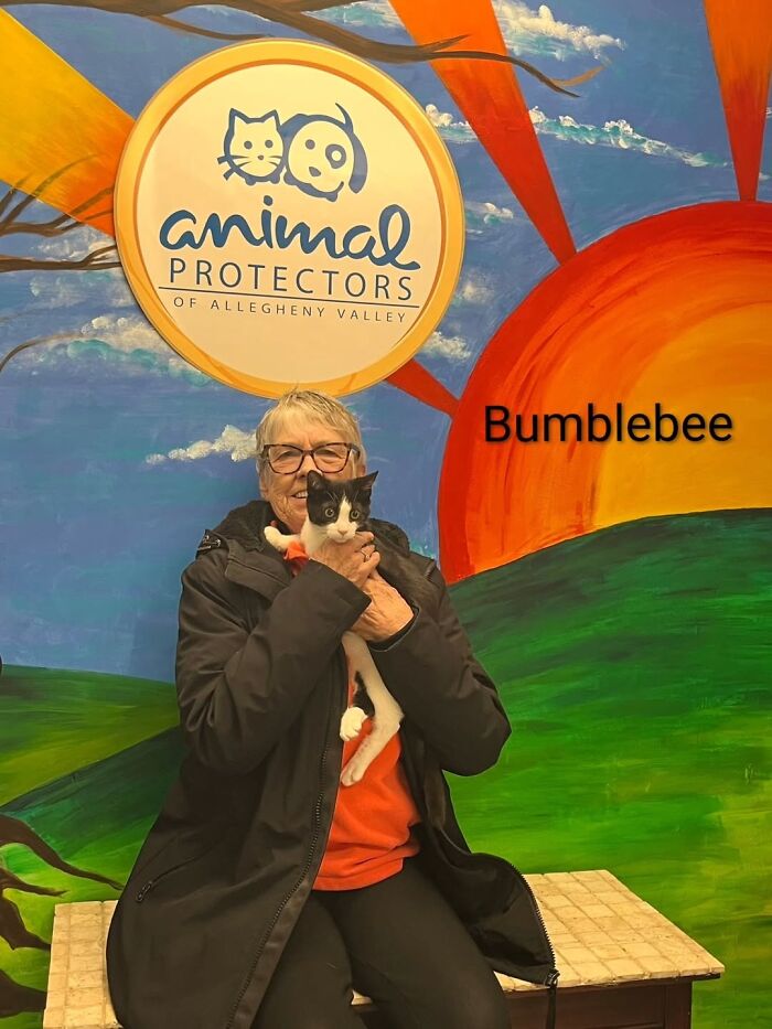 Inspired By AI, This Shelter Created An Event Where Dogs Choose Their Humans—and People Can’t Get Enough (42 Pics + 1 Video)