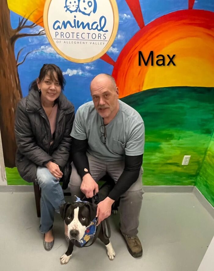 Inspired By AI, This Shelter Created An Event Where Dogs Choose Their Humans—and People Can’t Get Enough (42 Pics + 1 Video)