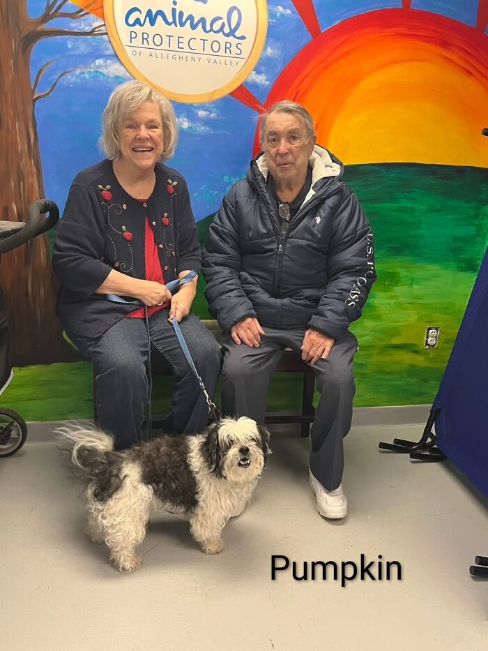 Inspired By AI, This Shelter Created An Event Where Dogs Choose Their Humans—and People Can’t Get Enough (42 Pics + 1 Video)