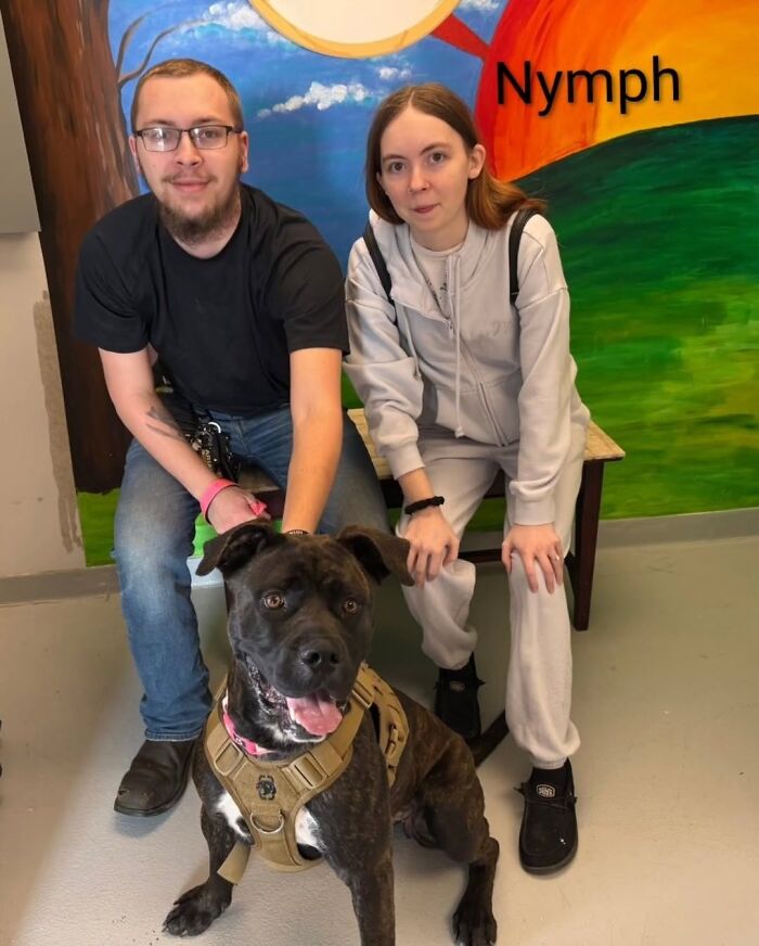 Inspired By AI, This Shelter Created An Event Where Dogs Choose Their Humans—and People Can’t Get Enough (42 Pics + 1 Video)