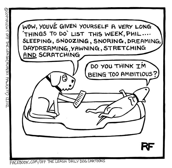 If You’re A Dog Owner, These 38 New “Off The Leash” Cartoons Might Totally Hit Home