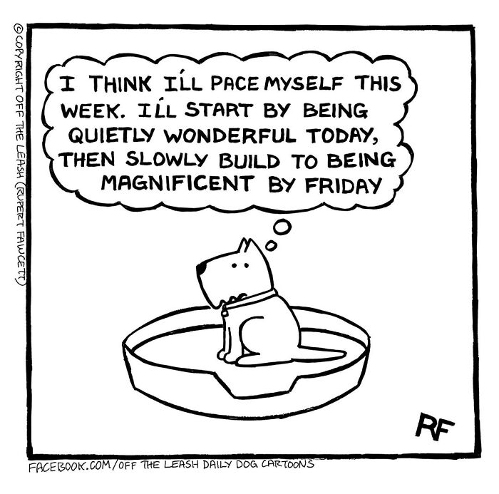 If You’re A Dog Owner, These 38 New “Off The Leash” Cartoons Might Totally Hit Home