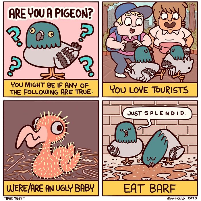 50 Absurdly Funny Comics By Matt Czap That Perfectly Capture How Weird Life Really Is (New Pics)