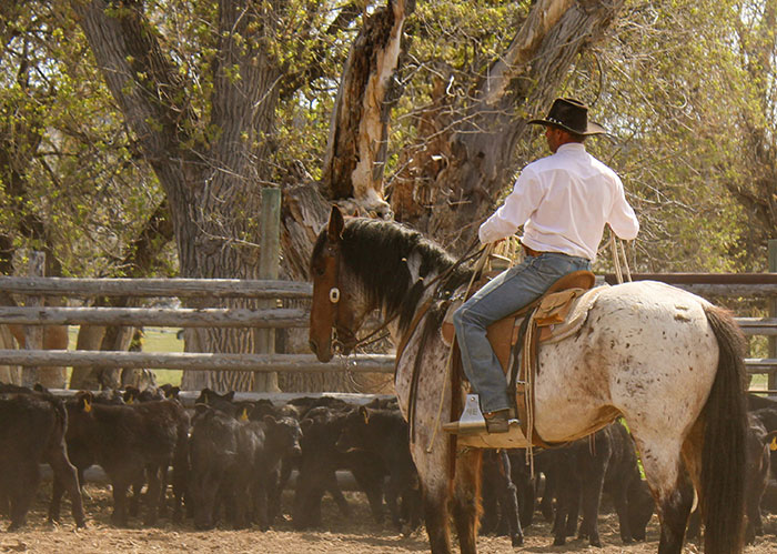 59 Things Movies Taught Us That Turned Out To Be Totally False