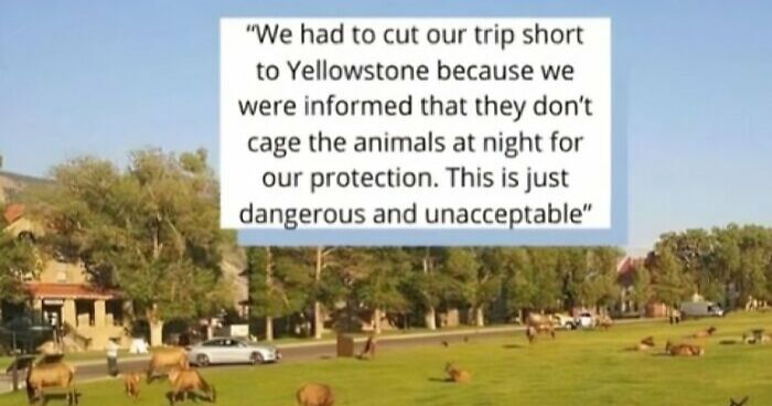 73 Times ‘Karens’ Acted Absolutely Ridiculous And Refused To Admit They Were Wrong